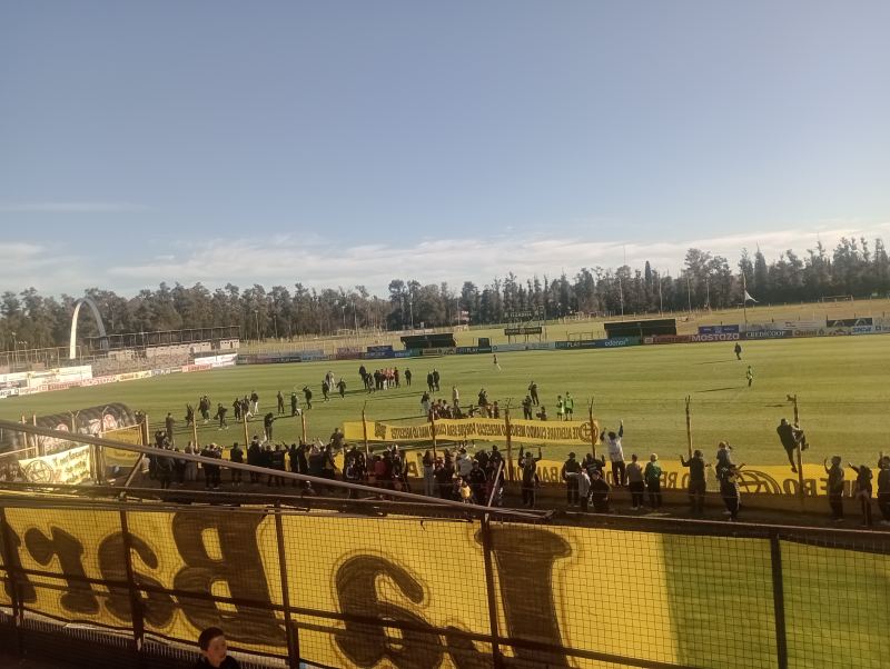 Foto del animal