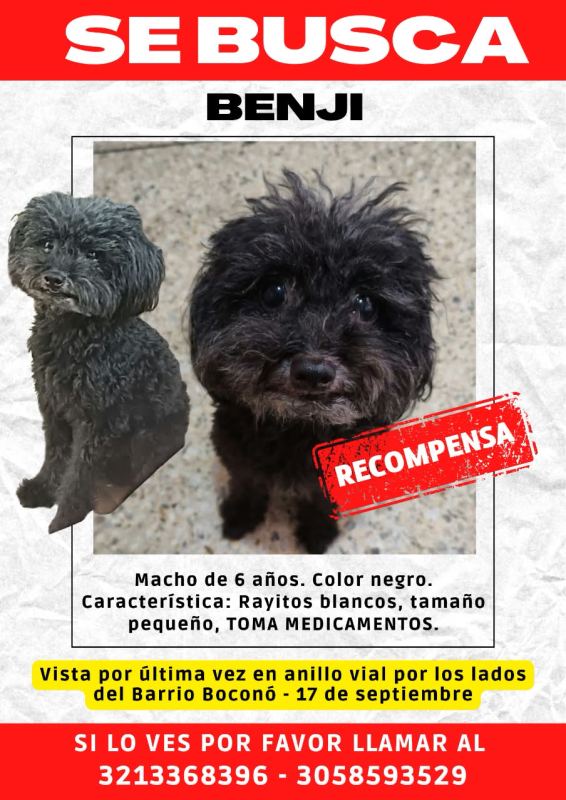 Foto del animal